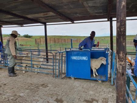 3 Way Drafter and Weigh Crate